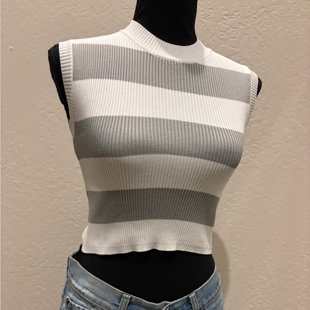 Sincerely Jules Gray and White Striped Crop Top